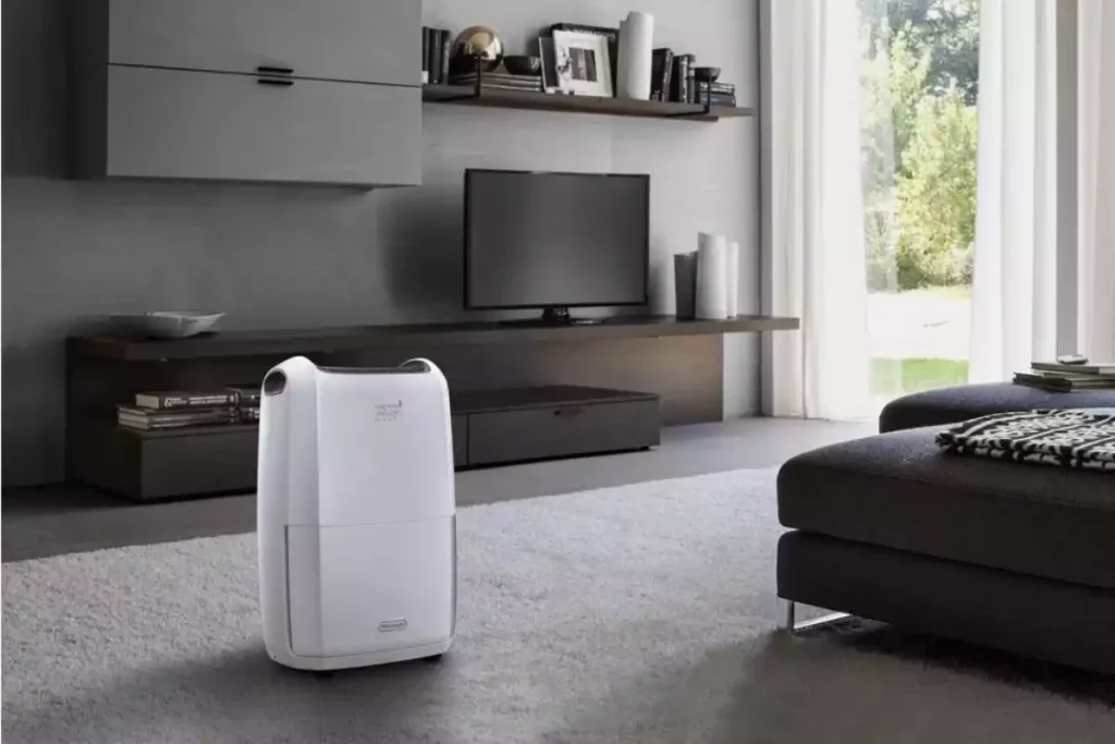Déshumidificateur De'Longhi DDSX220 Tasciugo Ariadry Avis