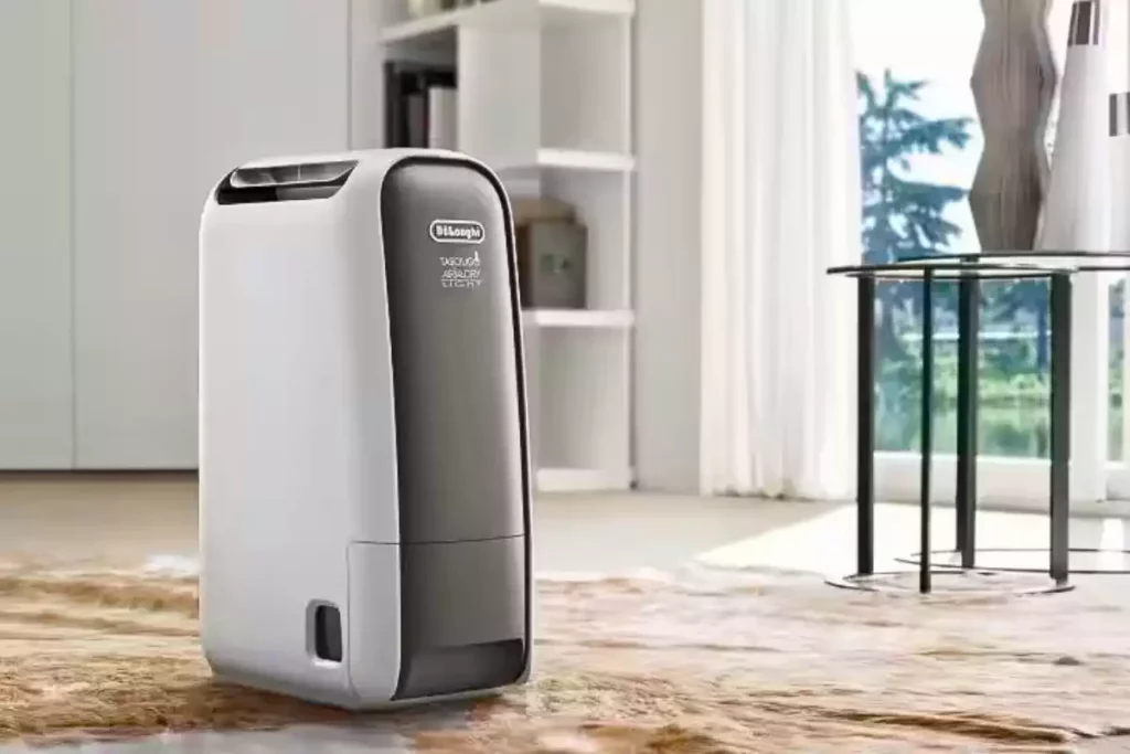Déshumidificateur De'Longhi DNS 65 - À la loupe
