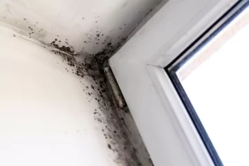 Comment déshumidifier une chambre ?