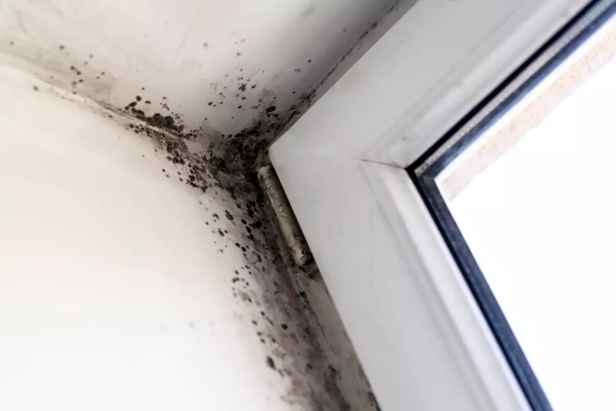 Comment déshumidifier une chambre ?