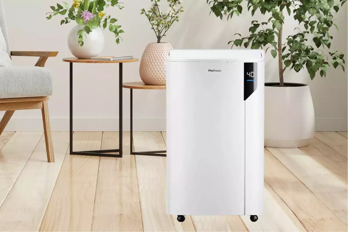 Déshumidificateur Pro Breeze 20L - Avis complet