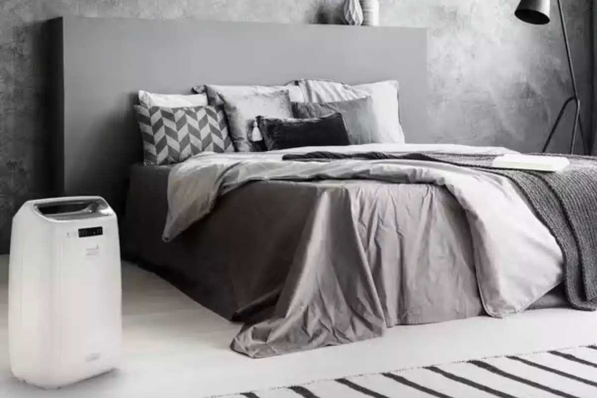 Déshumidificateur De'Longhi DEXD216RF Tasciugo AriaDry Multi - L'avis complet