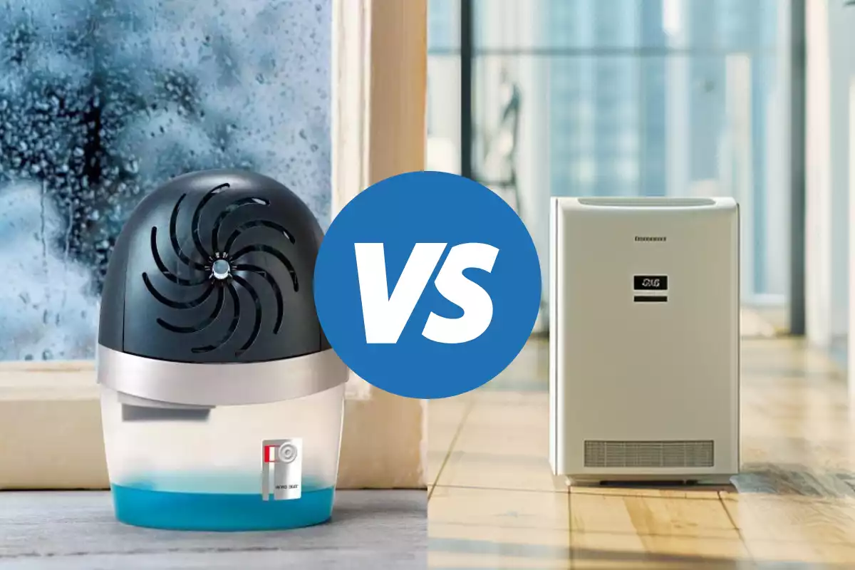 Déshumidificateur électrique ou absorbeur d'humidité : Lequel choisir ?