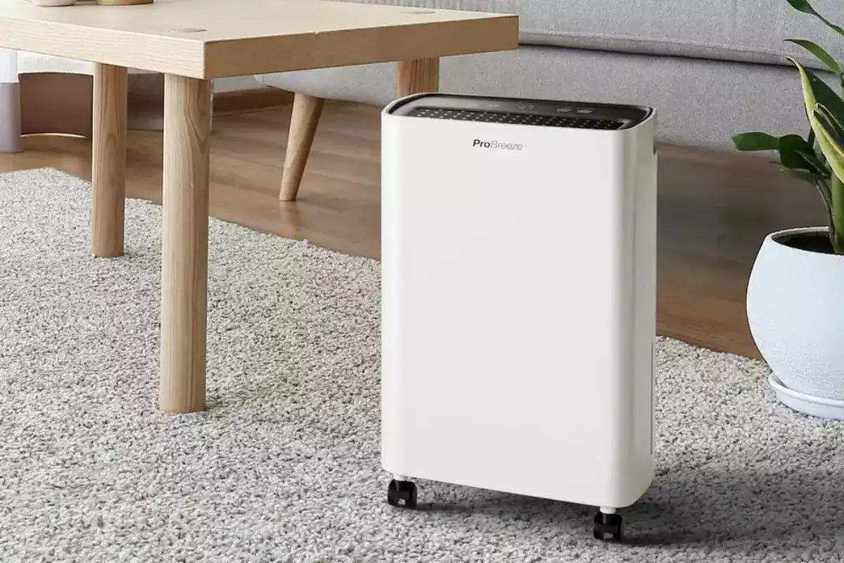 Avis sur le déshumidificateur Pro Breeze 6 L