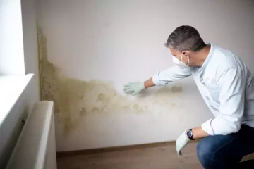 Comment sécher un mur après une fuite d'eau et l'apparition de moisissures ?