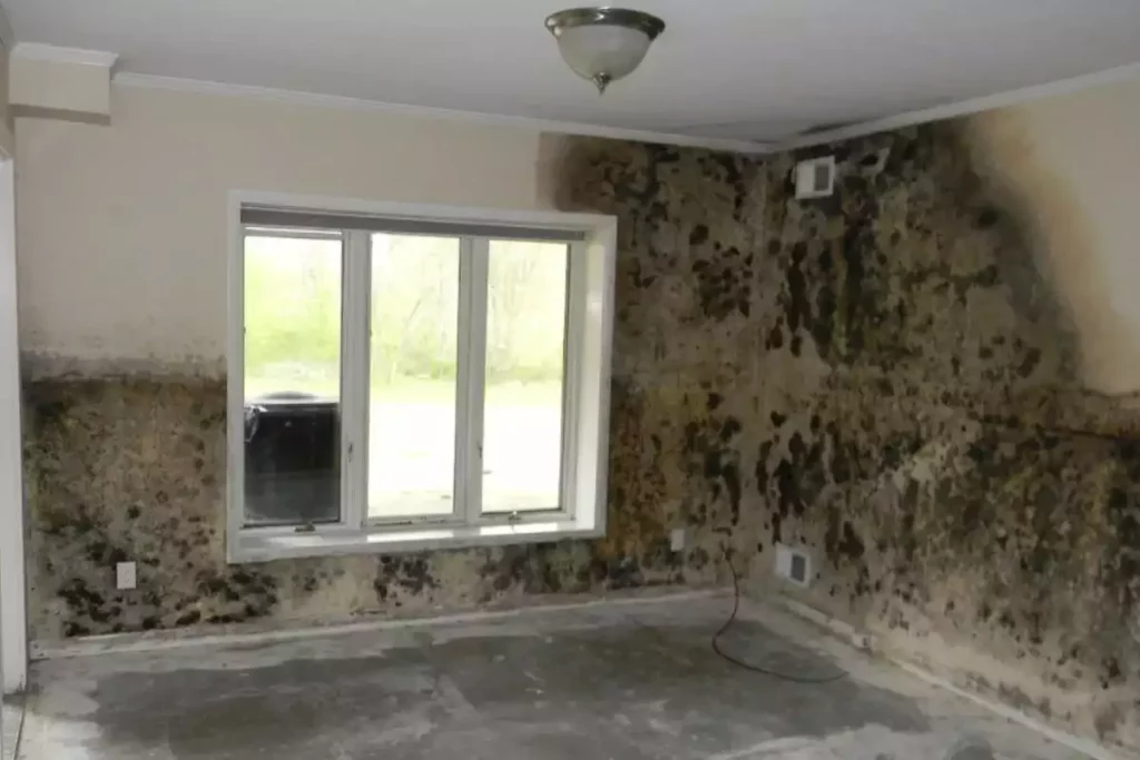 Pourquoi avez-vous de la moisissure dans votre chambre ?