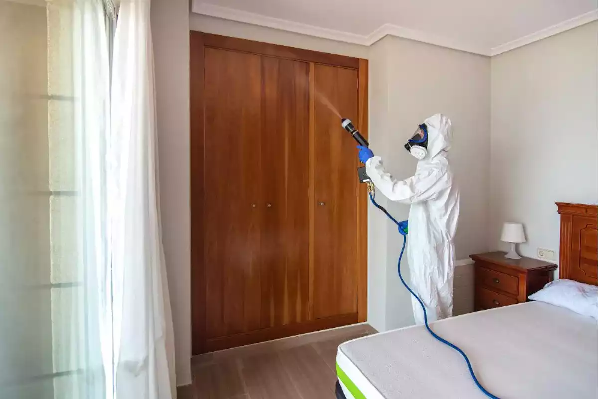 Comment lutter contre la moisissure dans une chambre​ ?
