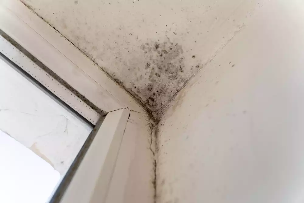 Optimiser le chauffage pour contrôler l’évaporation