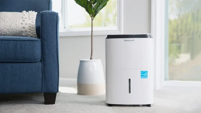 Déshumidificateur : bienfaits au-delà du confort thermique